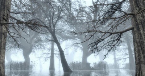 Bí ẩn "địa ngục" ở Trung Quốc nơi chất đầy những bộ hài cốt