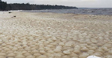Bí ẩn hàng ngàn "quả cầu băng giá" trôi dạt bờ biển Nga