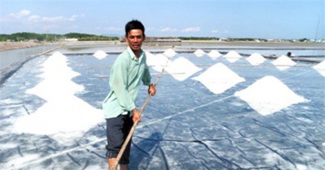 Giá muối tăng gấp đôi, diêm dân vẫn lao đao