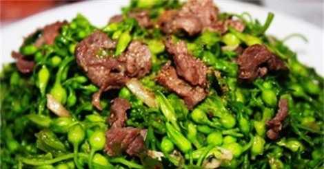 Hoa thiên lý - "thần dược" trị bệnh trĩ