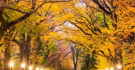 10 thành phố có lượng du khách ghé thăm "khủng" nhất năm 2017