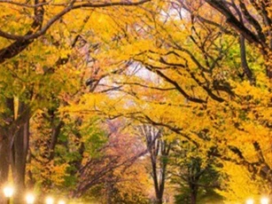 10 thành phố có lượng du khách ghé thăm "khủng" nhất năm 2017