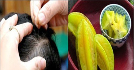 Cách trị tóc bạc sớm bằng khế chua cực đơn giản mà hiệu quả