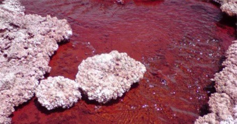 Giải mã bí ẩn hồ nước có màu đỏ như máu ở Chile