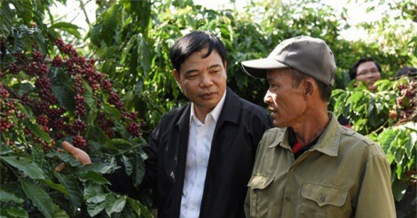 Giữ vững vị thế của cà phê Việt: Khó hay dễ?