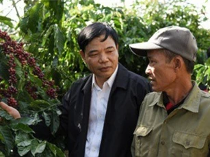 Giữ vững vị thế của cà phê Việt: Khó hay dễ?