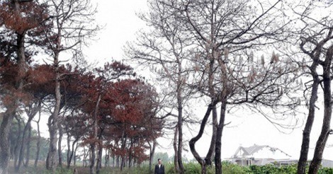 Bắt Trưởng ban quản lý rừng biến đất rừng thành đất cá nhân