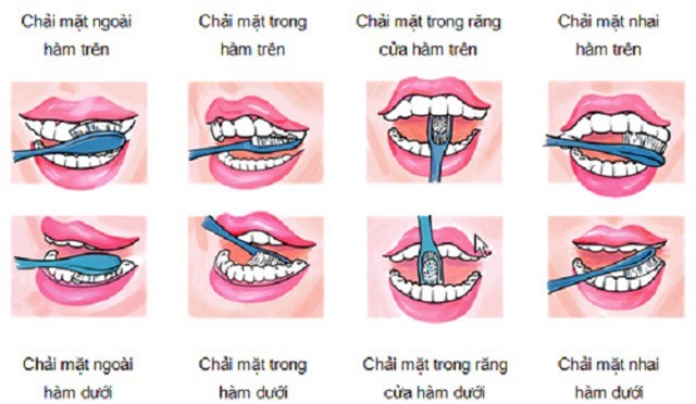 Clip: Hướng dẫn chải răng đúng cách để bảo vệ răng miệng