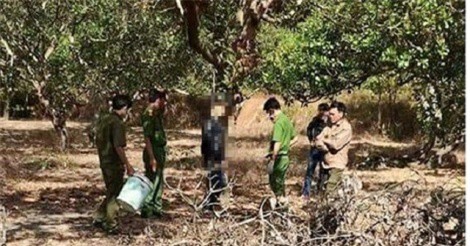 Nam thanh niên treo cổ chết trong vườn điều vì... bị bạn gái từ chối