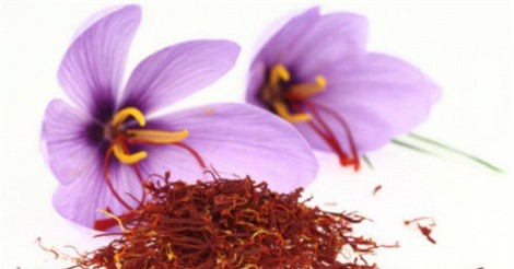 Sửng sốt vì giá nhụy hoa nghệ tây