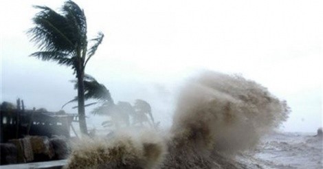 Rủi ro của bão thảm họa?