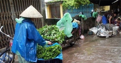 Những lưu ý về thực phẩm trong mùa bão