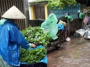 Những lưu ý về thực phẩm trong mùa bão