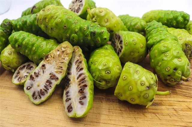 Trái nhàu - vị thuốc quý nhà nào cũng nên có