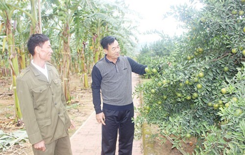 Trở thành tỷ phú nhờ bỏ nghề buôn về làm vườn 