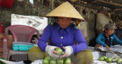 Tiền Giang xuất khẩu lô vú sữa đầu tiên sang Mỹ