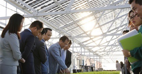 FLC - Farmdo bắt tay làm nông nghiệp và duyên cầu nối từ vị Đại sứ