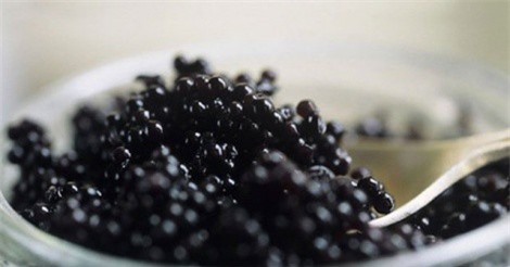 Đại tiệc trứng cá tầm: Tốn hàng trăm triệu, mỗi người được 2 thìa
