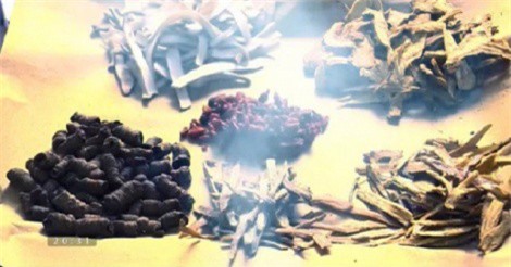 Thuốc Đông y được xông lưu huỳnh, nhuộm màu gây hại ra sao?