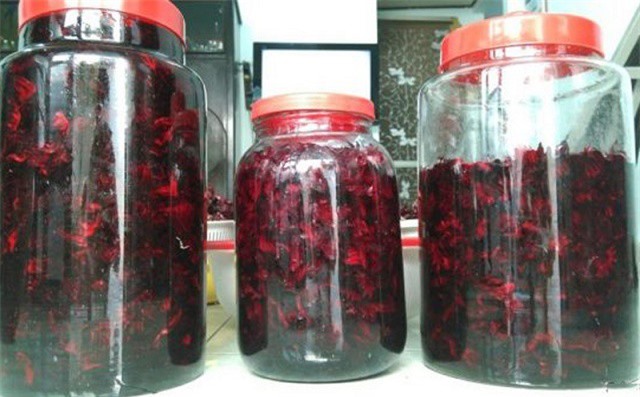 Tự ngâm rượu hoa atiso đỏ trị "bách bệnh" tại nhà