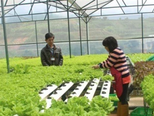 Đà Lạt đầu tư nông nghiệp công nghệ cao