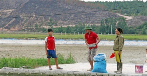 Nghệ An: Thành công từ mô hình phụ nữ phát triển kinh tế