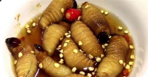 Đuông dừa - thứ đặc sản không dành cho người nhát gan