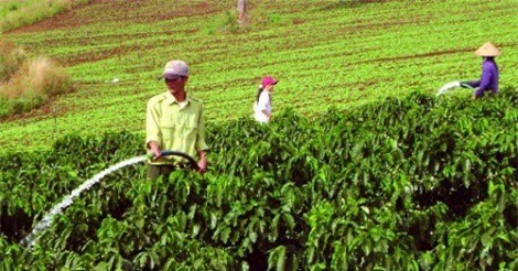 Hơn 3.200 doanh nghiệp thành lập mới ở khu vực Tây Nguyên