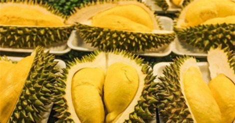 Sầu riêng từ vườn tới cửa hàng tăng giá đột biến