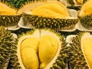 Sầu riêng từ vườn tới cửa hàng tăng giá đột biến