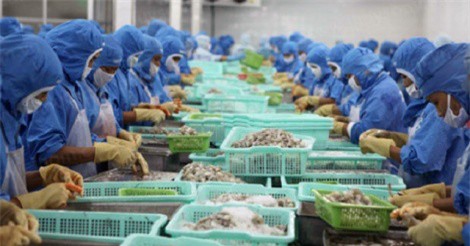 Xuất khẩu thủy sản đạt mức kỷ lục trong năm 2017