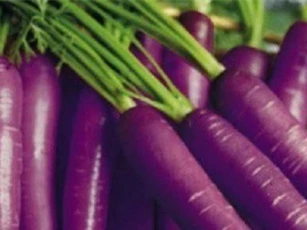 Xu hướng sử dụng thực phẩm màu tím trong năm 2018