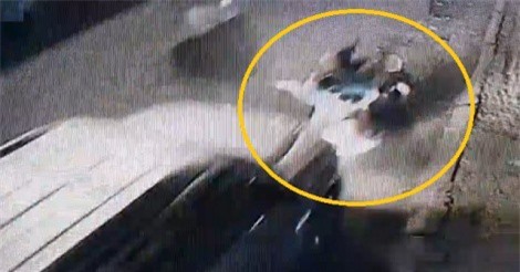 Clip: Ford Everest gây tai nạn rồi bỏ chạy