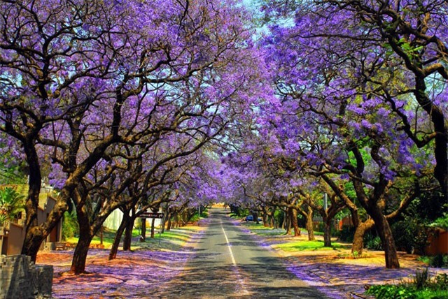 10 địa điểm du lịch nhất định phải ghé thăm trong năm 2018