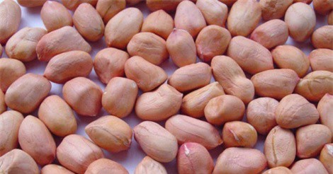 Bất ngờ với công dụng dưỡng da, chăm dáng của củ lạc