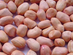 Bất ngờ với công dụng dưỡng da, chăm dáng của củ lạc