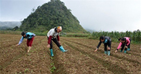 Từ làm thuê thành tỷ phú Cổng trời