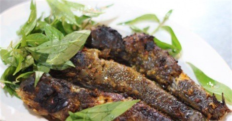 Về Cà Mau thưởng thức đặc sản “cá leo cây” 