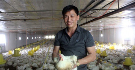 Thu lãi tiền tỷ nhờ nuôi gà theo công nghệ khép kín