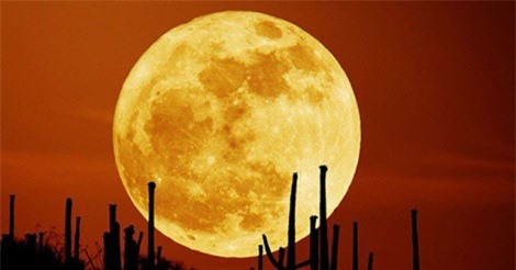 Tối 31/1, Việt Nam đón siêu trăng đặc biệt sau 150 năm