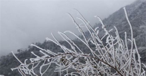 DỰ BÁO THỜI TIẾT (8/1): Hà Nội rét 10 độ, Bắc Bộ xuất hiện băng giá