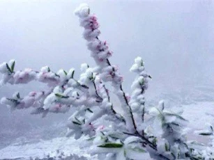 DỰ BÁO THỜI TIẾT (11/1): Băng giá tràn ngập Bắc Bộ, đỉnh Mẫu Sơn nhiệt độ xuống âm
