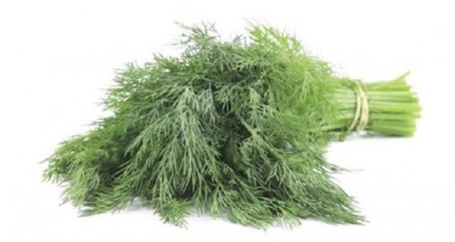 Lợi ích sức khỏe không ngờ từ rau thì là