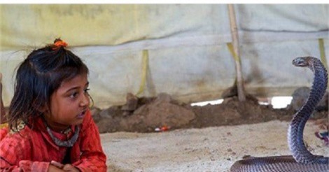 Ngỡ ngàng bộ tộc có tục lệ dạy trẻ thôi miên rắn ở Ấn Độ 