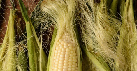 Những công dụng ít ai ngờ của râu ngô