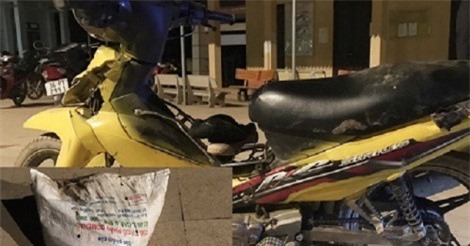 Thanh Hóa: 2 đối tượng trộm chó, chống người thi hành công vụ, bị đánh trọng thương 