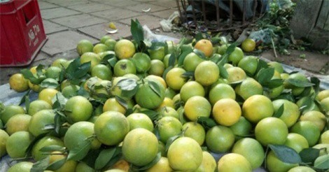 Cam Vinh - đặc sản "tiến vua" nức tiếng xứ Nghệ