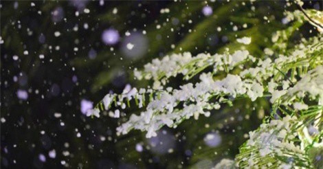 DỰ BÁO THỜI TIẾT (13/1): Rét hại bao trùm Bắc Bộ, xuất hiện mưa tuyết nhẹ