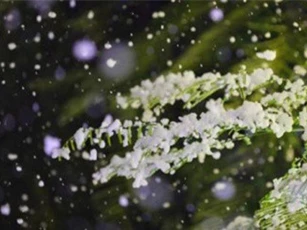 DỰ BÁO THỜI TIẾT (13/1): Rét hại bao trùm Bắc Bộ, xuất hiện mưa tuyết nhẹ