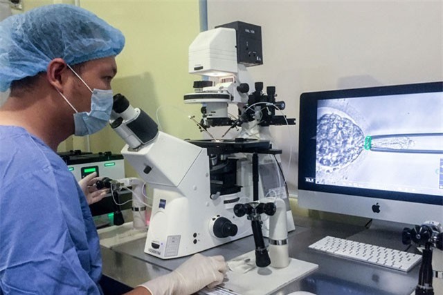Vì sao nghiên cứu thụ tinh ống nghiệm của Việt Nam khiến thế giới xôn xao?